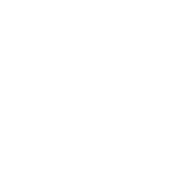 logo vivosi